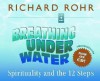 Breathing Under Water: Spirituality and the 12 Steps - Richard Rohr