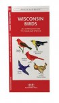 Wisconsin Birds: A Folding Pocket Guide to Familiar Species (Pocket Naturalist Guide Series) - James Kavanagh