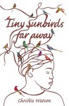 Tiny Sunbirds, Far Away - Christie Watson