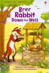 Brer Rabbit Down the Well - Louie Stowell, Eva Muszynski