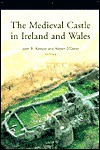 The Medieval Castle in Ireland and Wales: Essays in Honour of Jeremy Knight - John R. Kenyon