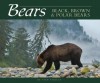 Bears: Grizzly, Black and Polar Bears - Stan Tekiela