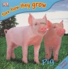 See How They Grow Pig [With Stickers] - Mary Ling