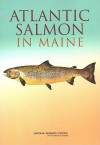 Atlantic Salmon in Maine - Committee on Atlantic Salmon in Maine, National Research Council