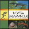 Newts & Salamanders - Graham Meadows