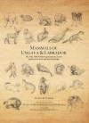 Mammals of Ungava and Labrador: The 1882-1884 Fieldnotes of Lucien M. Turner together with Inuit and Innu Knowledge - Lucien M. Turner, Kristofer M. Helgen, Scott A. Heyes