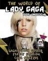 The World Of Lady Gaga - Parragon Books