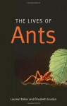The Lives of Ants - Laurent Keller, Elisabeth Gordon