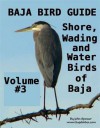 BAJA BIRD GUIDE 3 - John Spencer