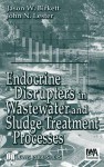 Endocrine Disrupters in Wastewater and Sludge Treatment Processes - Birkett, Jw Birkett, Jn Lester