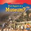 What Happens at a Museum? - Lisa Guidone