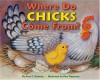 Where Do Chicks Come From? - Amy E. Sklansky