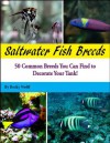 Saltwater Fish Breeds - Becky Wolff