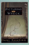 Picturing The Wreck - Dani Shapiro