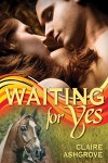 Waiting For Yes - Claire Ashgrove