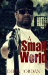 A Small World - Derek Jordan