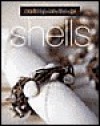 Crafting on the Go: Shells - Trisha Malcolm