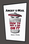 Angry E-mail: How to Put a Lid on It - Dona J. Young