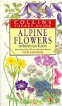 Alpine Flowers of Britain and Europe - Christopher Grey-Wilson, M. Blamey