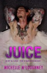 Juice: The O'Malleys Book 1, contemporary Adult Romance - Michelle McLoughney