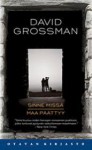 Sinne missä maa päättyy - David Grossman