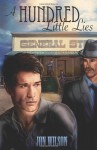 A Hundred Little Lies - Jon Wilson