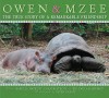 Owen & Mzee: The True Story of a Remarkable Friendship - Isabella Hatkoff, Craig Hatkoff, Paula Kahumbu, Peter Greste