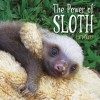 The Power of Sloth - Lucy Cooke