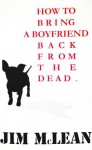 How To Bring A Boyfriend Back From The Dead - Jim McLean