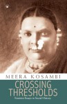 Crossing Thresholds: Feminist Essays in Social History - Meera Kosambi