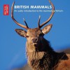 British Mammals: An Audio Introduction to the Mammals of Britain - CD with Booklet - The British Library