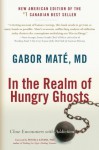 In the Realm of Hungry Ghosts: Close Encounters with Addiction - Gabor Maté, Peter A. Phd Levine