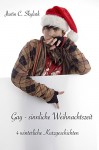 Gay - sinnliche Weihnachtszeit: 4 winterliche Kurzgeschichten - Justin C. Skylark