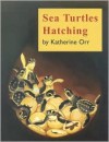 Sea Turtles Hatching - Katherine Orr