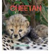 Cheetah. Text and Photographs by Suzi Eszterhas - Suzi Eszterhas