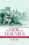 The View from Vesuvius: Italian Culture and the Southern Question - Nelson Moe