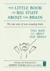 The Little Book of Big Stuff About the Brain: The true story of your amazing brain (Independent Thinking Series) - Andrew Curran, Ian Gilbert