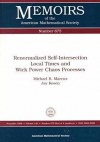 Renormalized Self-Intersection Local Times and Wick Power Chaos Processes - Michael B. Marcus, Jay Rosen