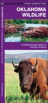 Oklahoma Wildlife: A Folding Pocket Guide to Familiar Species - James Kavanagh, Raymond Leung