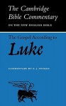 The Gospel According to Luke - E.J. Tinsley