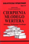 Cierpienia młodego Wertera - zeszyt 74 - Urszula Lementowicz