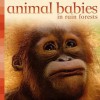 Animal Babies in Rain Forests (Board Book) - Kingfisher, Kingfisher