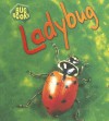 Ladybug - Karen Hartley