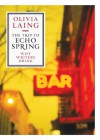 The Trip to Echo Spring: Why Writers Drink - Olivia Laing