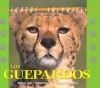 El Gurpardo (Gatos Salvajes Del Mundo ) - Melissa S. Cole