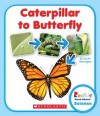 Caterpillar to Butterfly - Lisa M Herrington