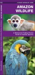 Amazon Wildlife: A Waterproof Pocket Guide to Familiar Species - James Kavanagh, Raymond Leung