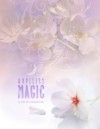 Hopeless Magic (Star-Crossed #2) - Rachel Higginson