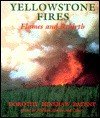 Yellowstone Fires: Flames and Rebirth - Dorothy Hinshaw Patent