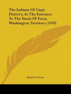 The Indians of Cape Flattery, at the Entrance to the Strait of Fuca, Washington Territory (1870) - James Gilchrist Swan